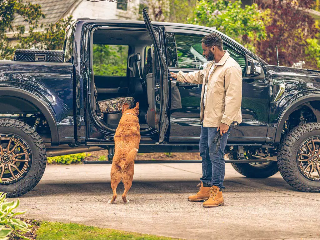 AMP Research 2015-2018 Ford F150 & Raptor All Cabs PowerStep Plug N Play - Black
