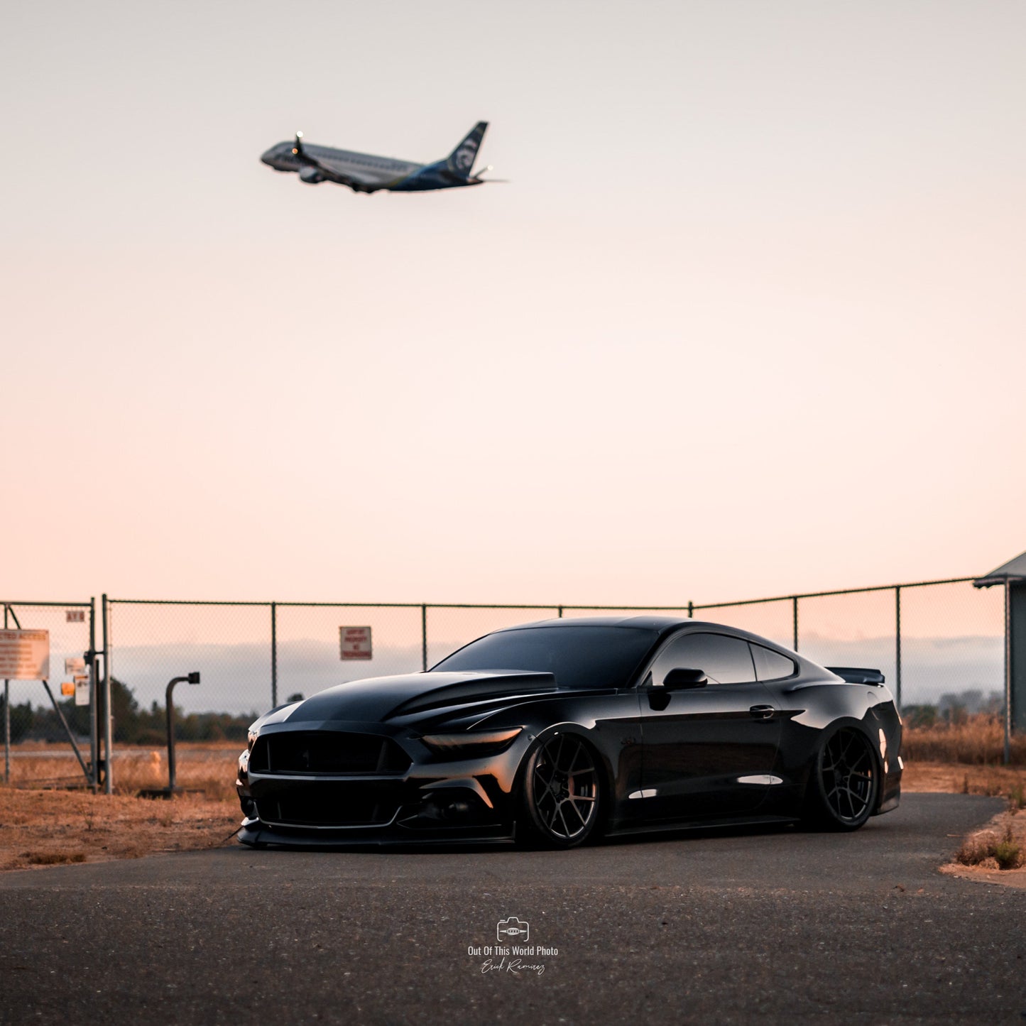 Headlight Lens Vinyl Tint (2015-2017 Mustang, 2016-2020 GT350, 2020-2022 GT500)