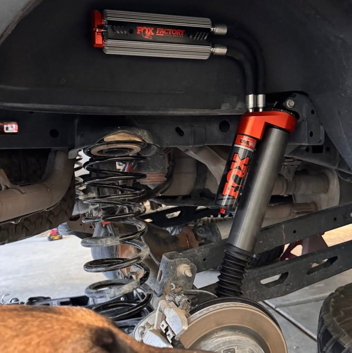 GEN 3 RAPTOR FACTORY RACE SERIES 3.2 LIVE VALVE INTERNAL BYPASS PIGGYBACK (PAIR) - ADJUSTABLE