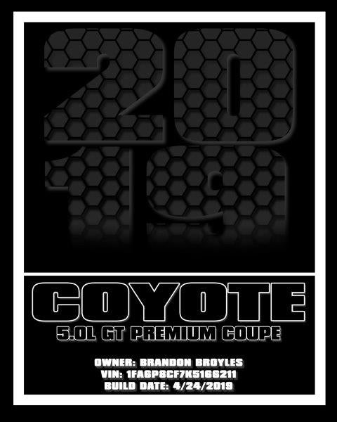 Show Board Print - Design 4