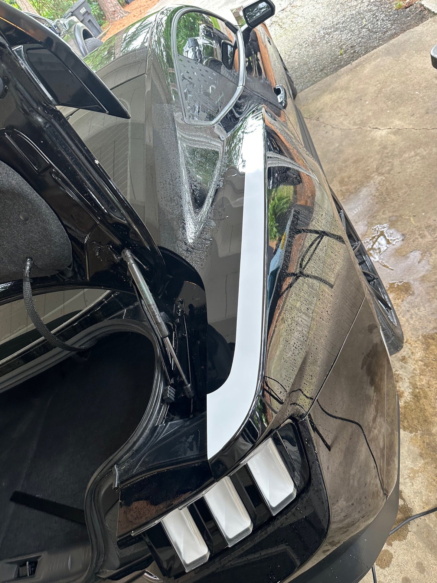 Rear Quarter Accent Step Graphics (2024+ Mustang)