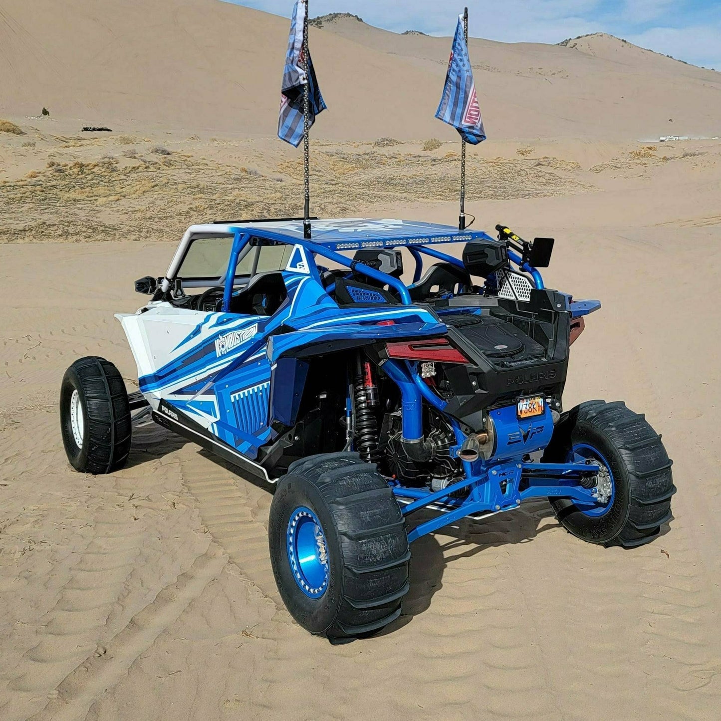 SDR Motorsports 2020-25 Pro XP-4 Fastback Shorty Cage