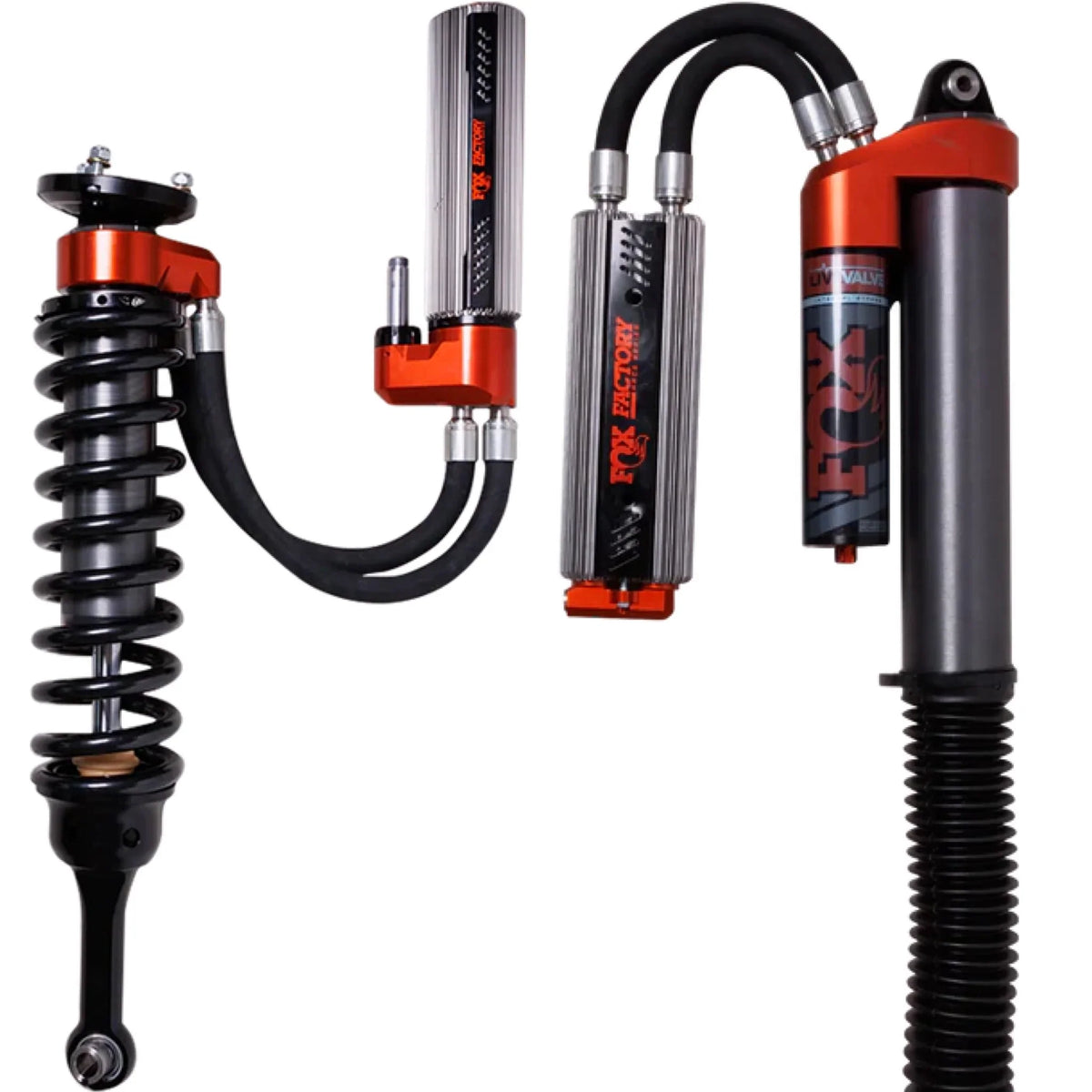First Gen Raptor Shocks Gen 3 Raptor Categories – TSP PARTS