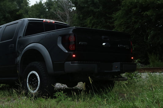 Tail Light Lens Vinyl Tint Kit (2009-2014 F150 / 2010-2014 Raptor)