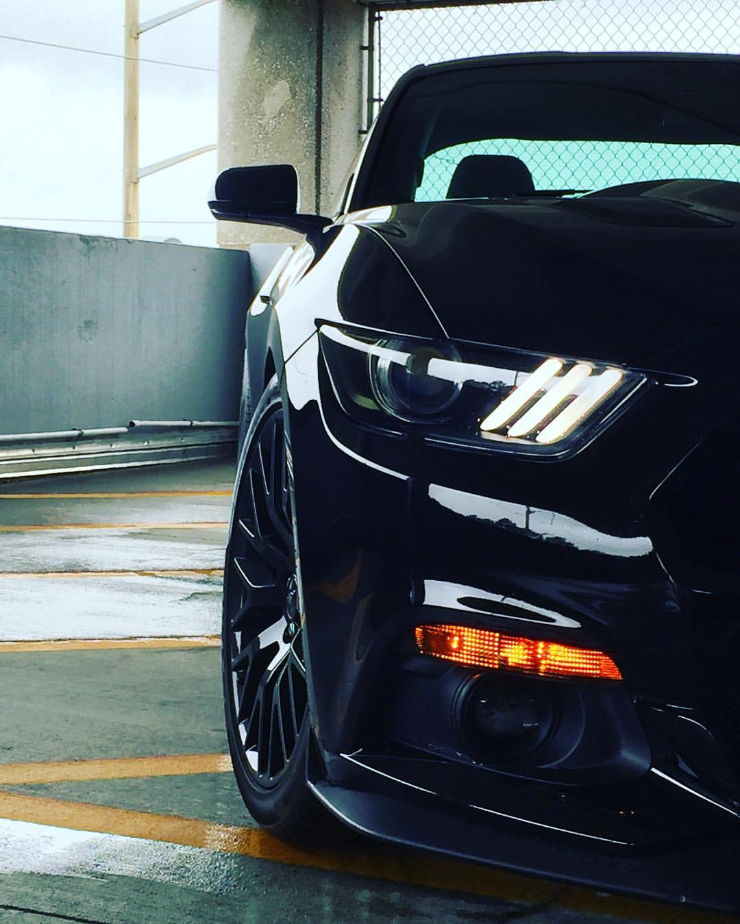 Front Lens Vinyl Tint Kit (2015-2017 Mustang, 2016-2020 GT350, 2020-2022 GT500)