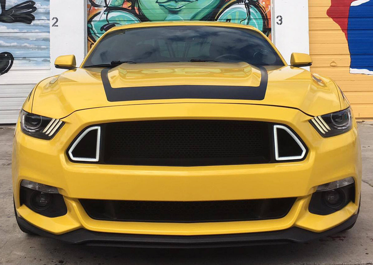 U3 Hood Decal (2015-2017 Mustang)