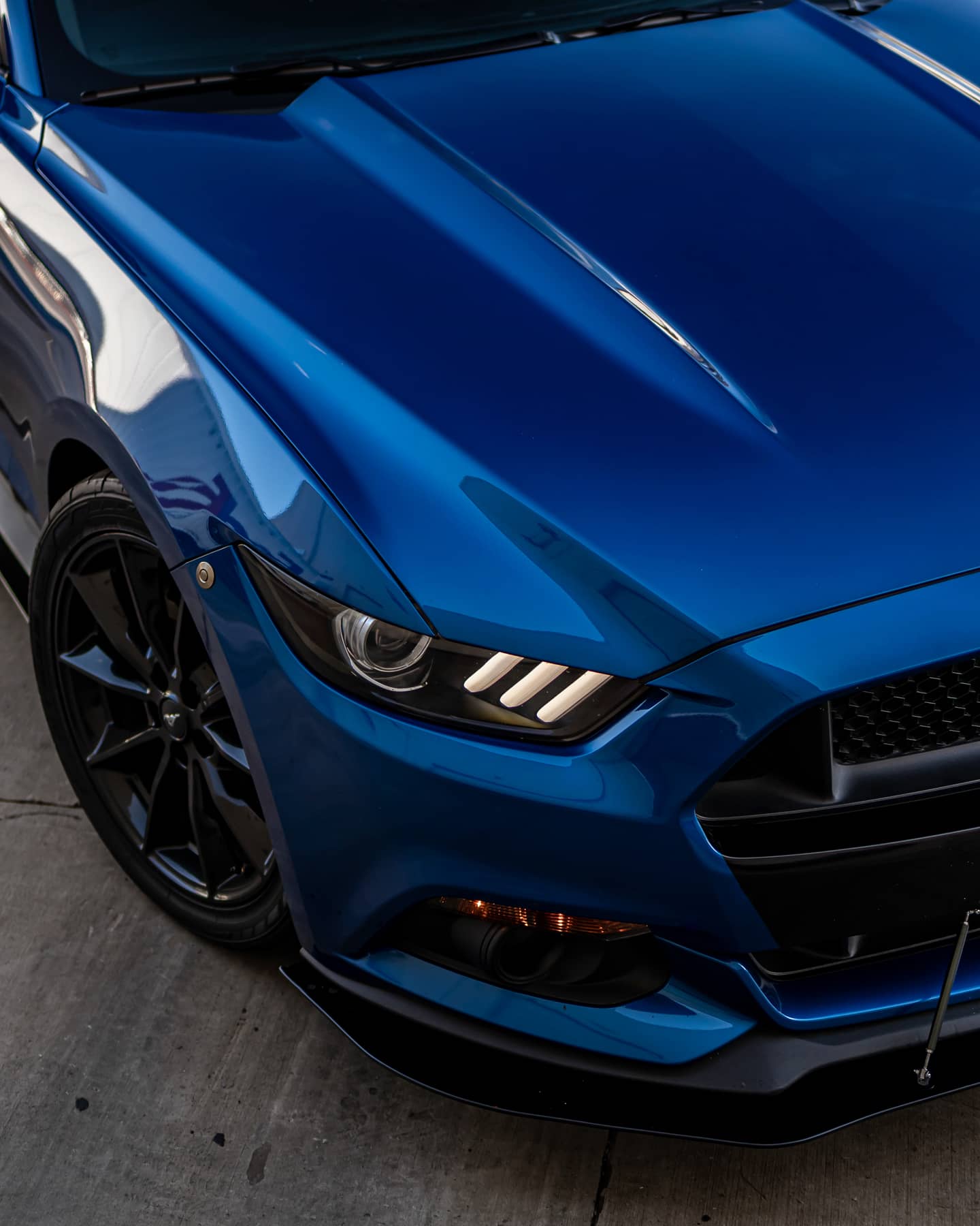 Headlight Amber Corner Lens Vinyl Tint (2015-2017 Mustang, 2016-2020 GT350, 2020-2022 GT500)