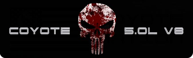 Aluminum Radiator Plate [S15] Punisher Blood (2018-2023 Mustang)