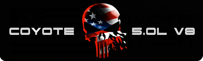 Aluminum Radiator Plate [S16] Punisher Flag (2018-2023 Mustang)