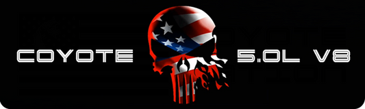 Aluminum Radiator Plate [S16] Punisher Flag (2018-2023 Mustang)