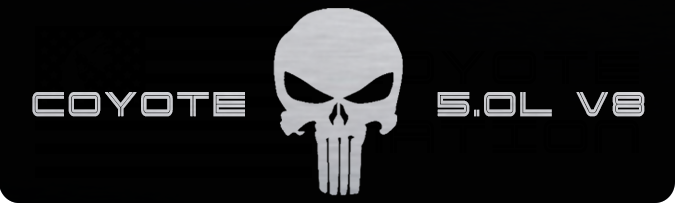 Aluminum Radiator Plate [S17] Punisher Silver (2018-2023 Mustang)