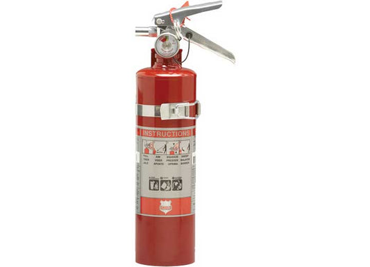 SHIELD FIRE PROTECTION SINGLE USE 2.5 LB FIRE EXTINGUISHER