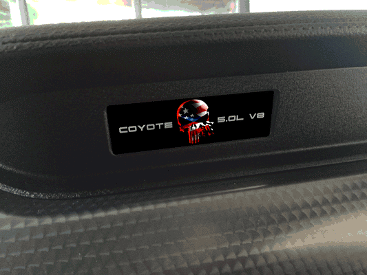Aluminum Dash Plate [S16] Punisher Flag (2015-2017 Mustang)