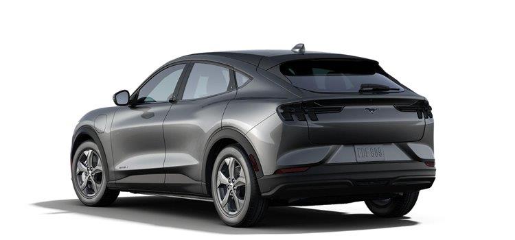 Front & Rear Lens Vinyl Tint Kit (2021-2025 Mustang Mach E)