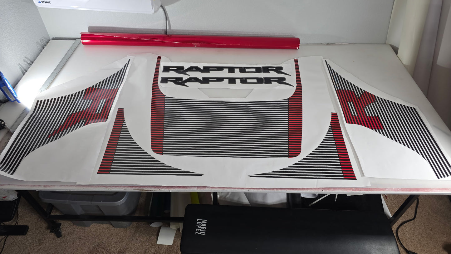 TSP RAPTOR R GRAPHICS PACK