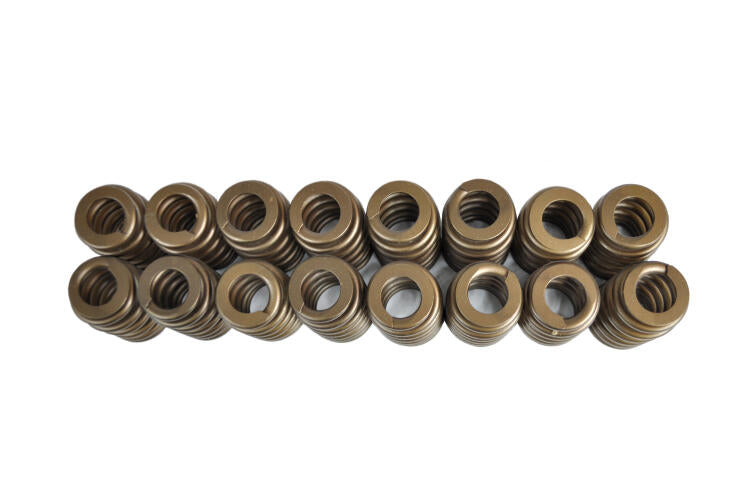 LIVERNOIS MOTORSPORTS 2010-2014 FORD 6.2L RAPTOR SPRING UPGRADE KIT (SPRINGS, LOCKS, SEALS, AND RETAINERS)