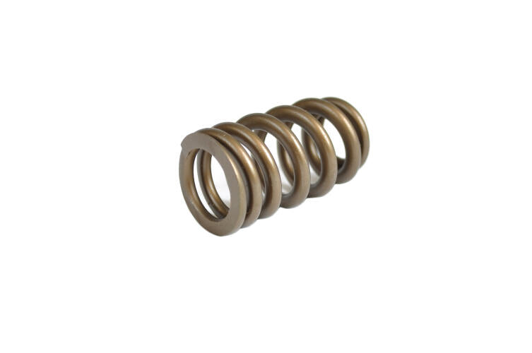 LIVERNOIS MOTORSPORTS 2010-2014 FORD 6.2L RAPTOR SPRING UPGRADE KIT (SPRINGS, LOCKS, SEALS, AND RETAINERS)