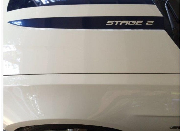 Roush Style Hood Spears (2010-2012 Mustang)