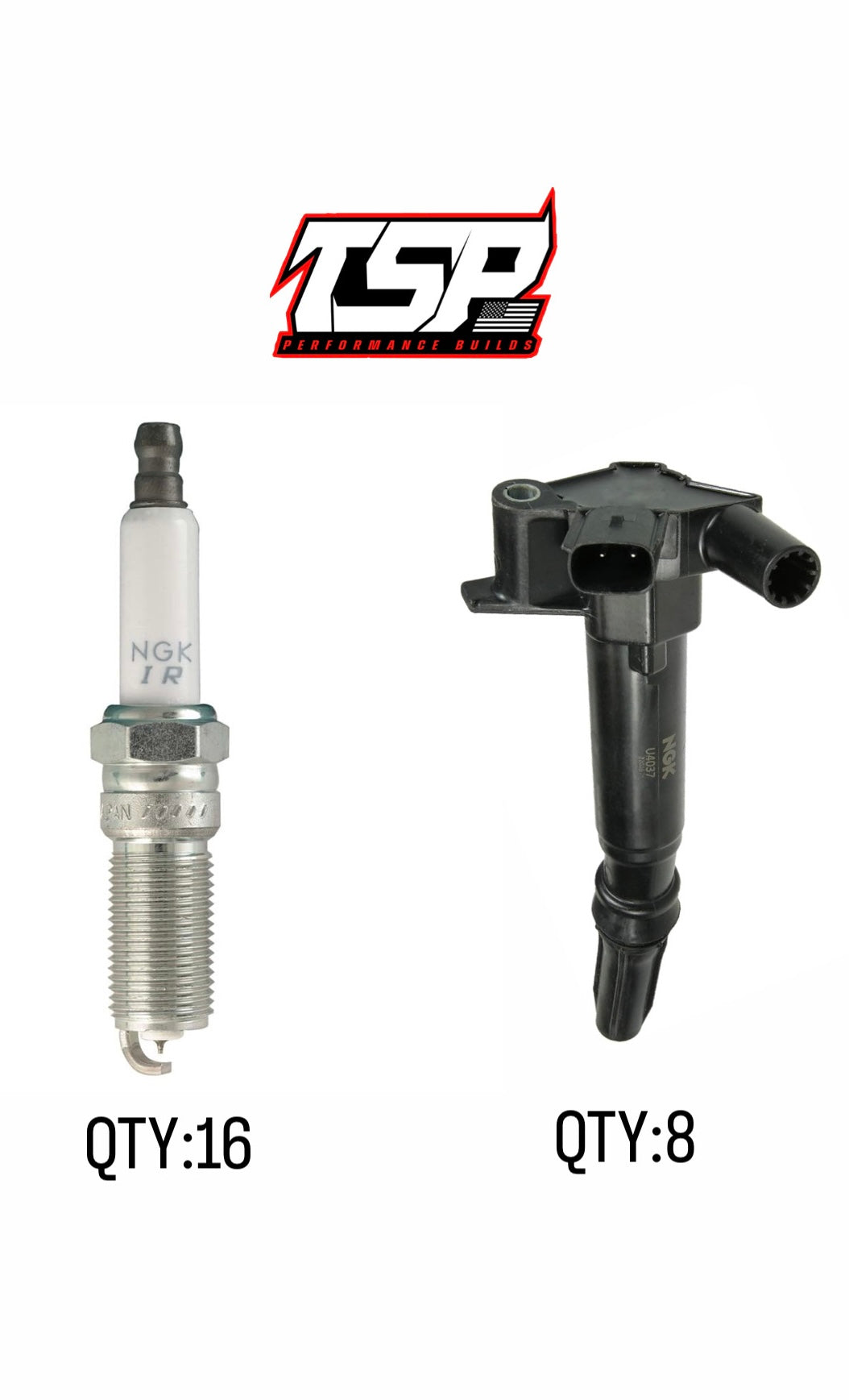 FORD RAPTOR 6.2L NGK MAINTENANCE KIT