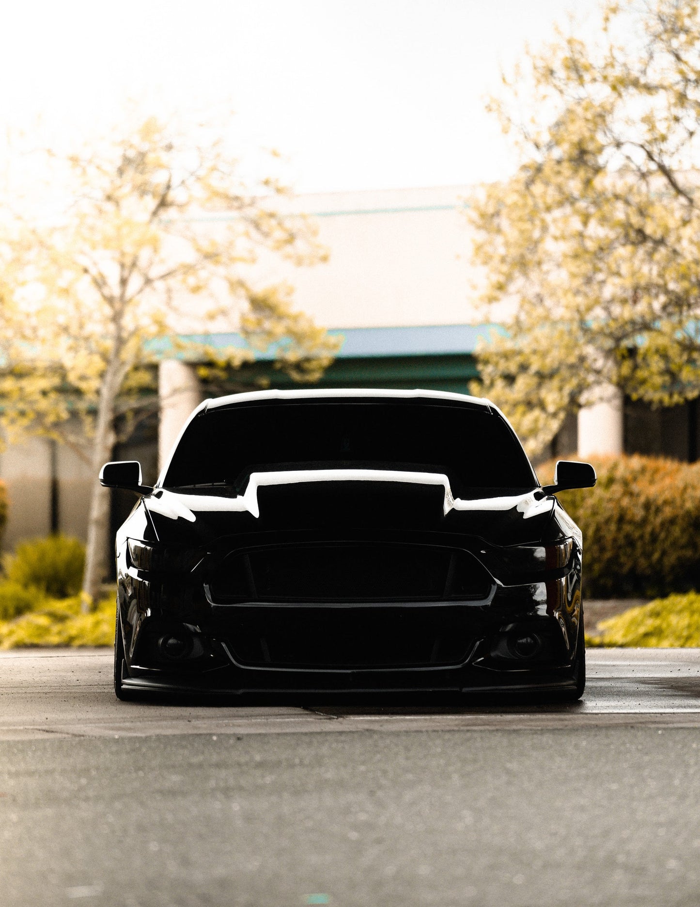 Front Lens Vinyl Tint Kit (2015-2017 Mustang, 2016-2020 GT350, 2020-2022 GT500)