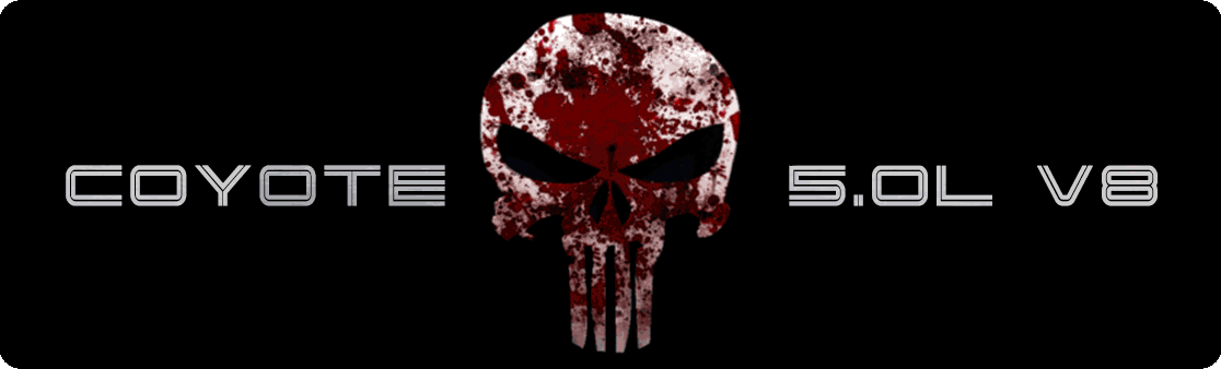 Aluminum Engine Cover Plate [S15] Punisher Blood (2015-2017 Mustang)