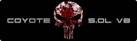 Aluminum Engine Cover Plate [S15] Punisher Blood (2018-2023 Mustang)