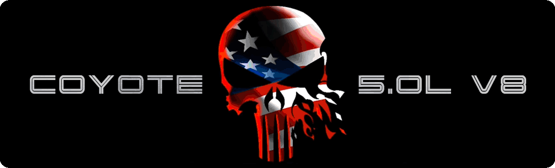 Aluminum Engine Cover Plate [S16] Punisher Flag Coyote V8 (2015-2017 Mustang)