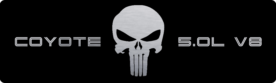 Aluminum Engine Cover Plate [S17] Punisher Silver (2015-2017 Mustang)