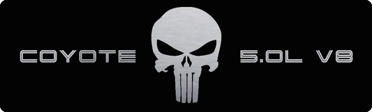 Aluminum Engine Cover Plate [S17] Punisher Silver (2018-2023 Mustang)
