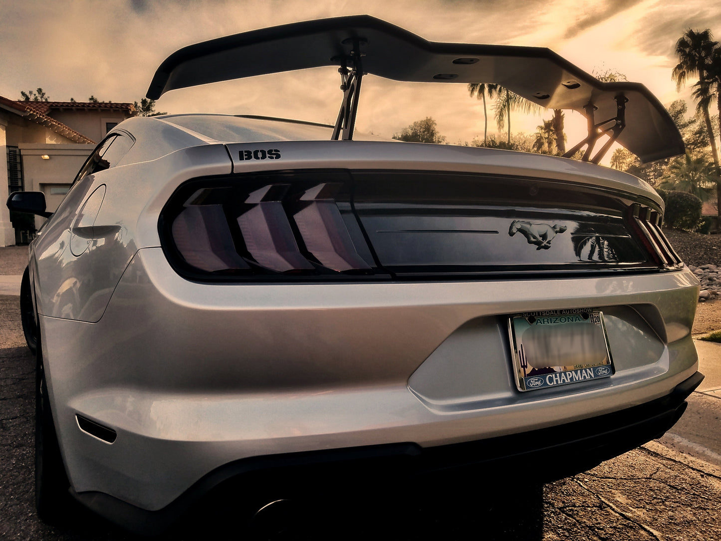 Rear Lens Vinyl Tint Kit (2018-2023 Mustang)