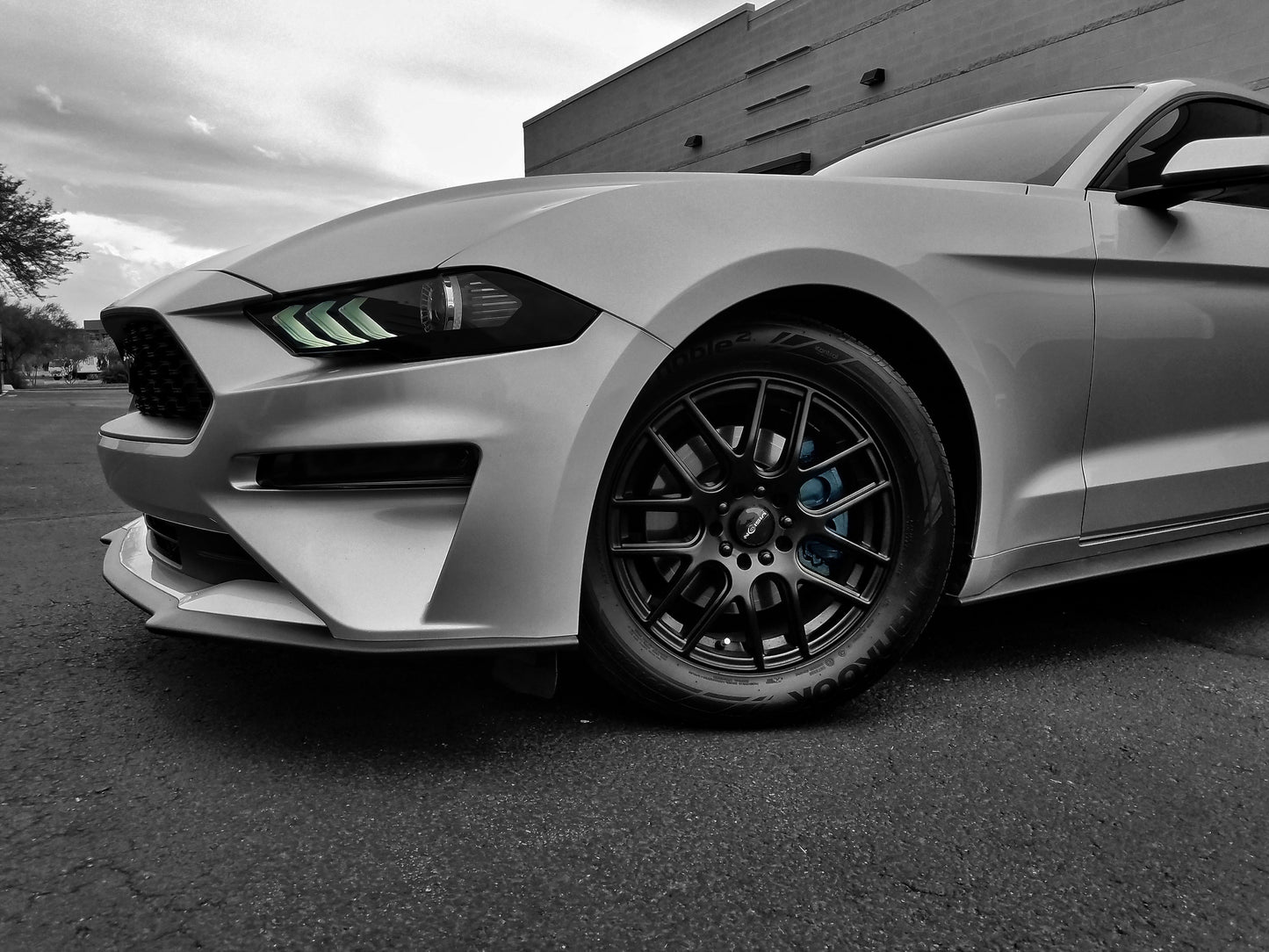 Front Side Marker/Fog Light Lens Vinyl Tint (2018-2023 Mustang)