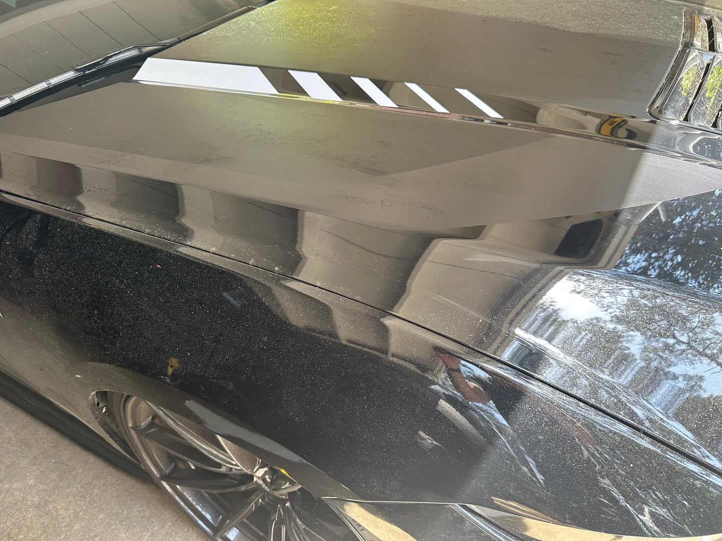 Hood Line Accent Step Graphics (2024+ Mustang)