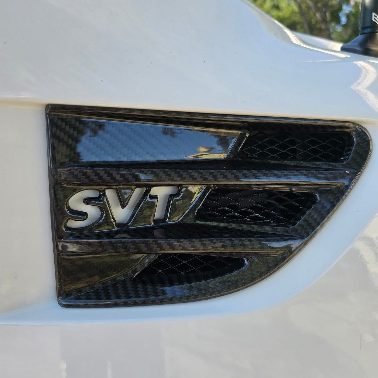 2010-2014 Ford Raptor SVT Replacement Carbon Fiber Side Fender Vent Trim and Hood Vents Package