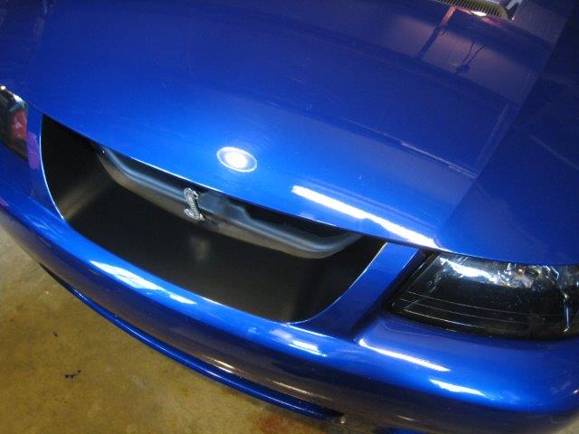 Front Grille Black Out Panel (2003-2004 Cobra)