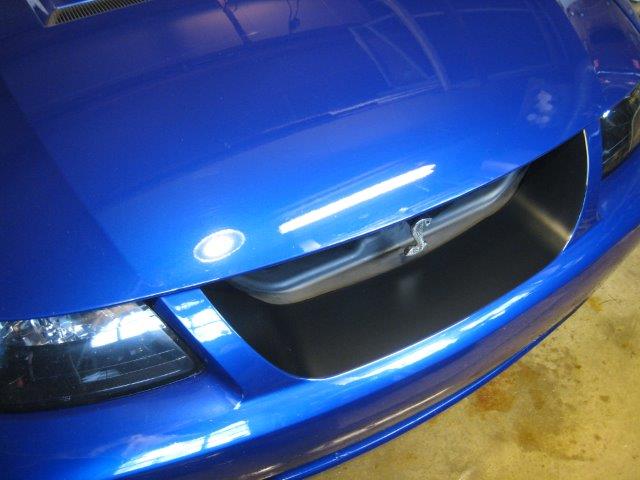 Front Grille Black Out Panel (2003-2004 Cobra)