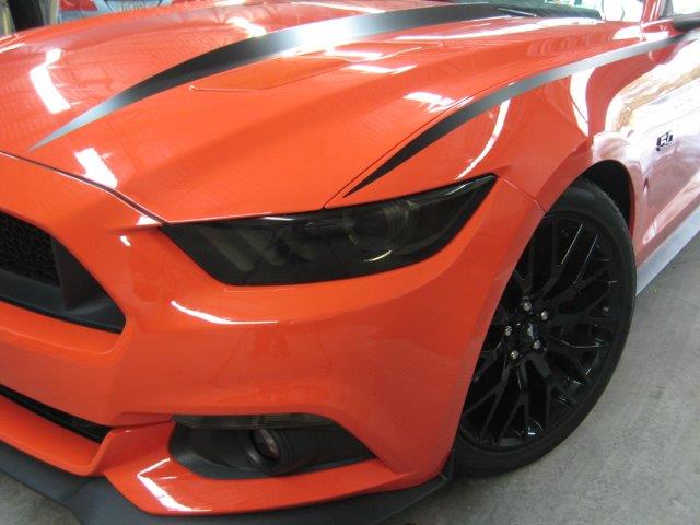 Headlight Lens Vinyl Tint (2015-2017 Mustang, 2016-2020 GT350, 2020-2022 GT500)