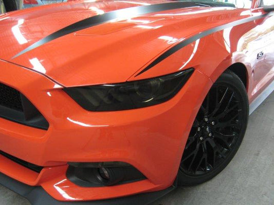 Headlight Lens Vinyl Tint (2015-2017 Mustang, 2016-2020 GT350, 2020-2022 GT500)