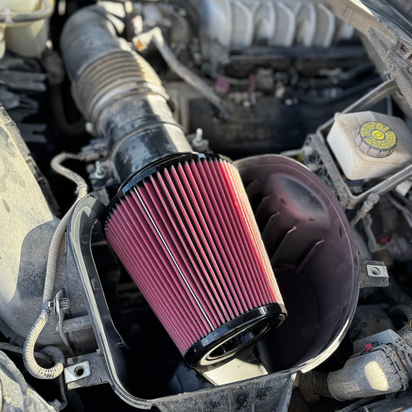 S&B Filters 2023-2025 Raptor R Stock Replacement Filter