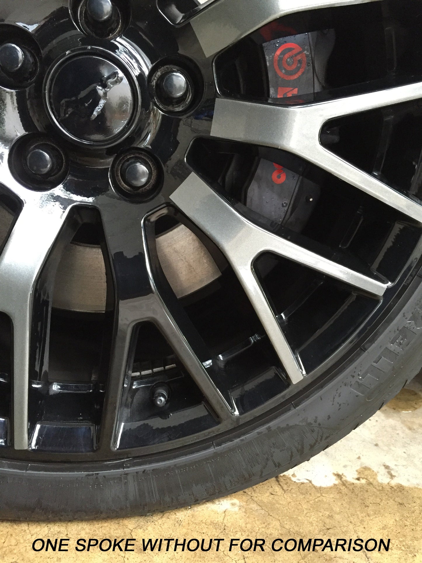 Performance Package Wheel Vinyl Insert Accents (2015-2023 Mustang)