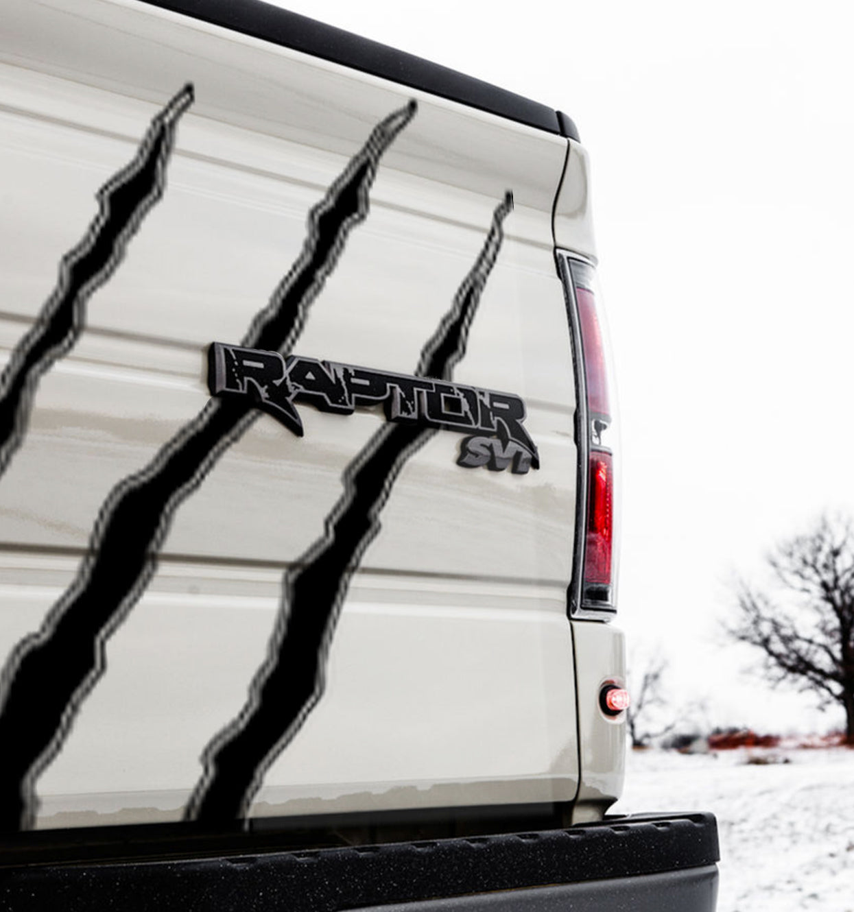 Tailgate Battle Scars (2010-2014 Raptor)