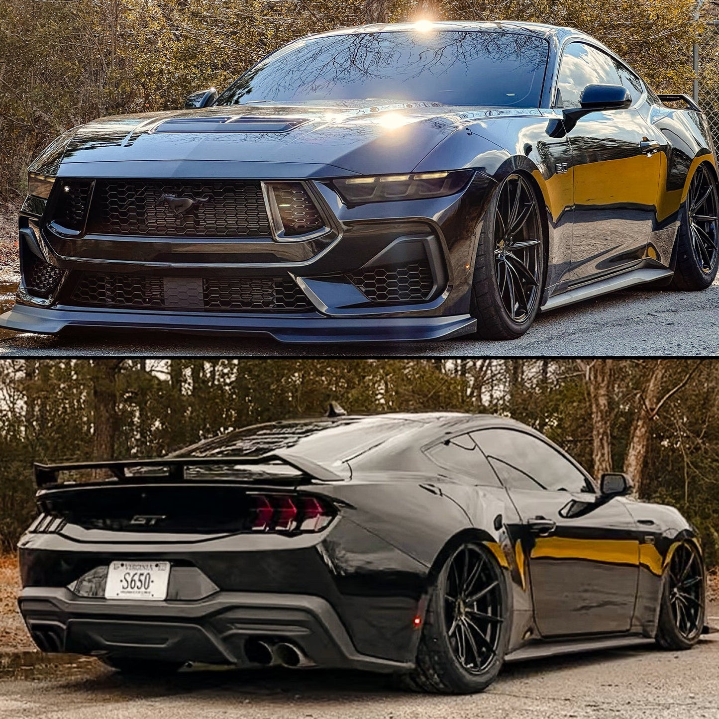 2024 Mustang Lens Tint and Paint Protection