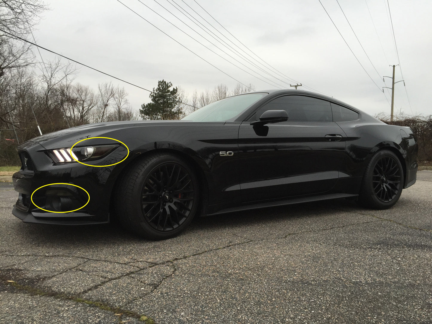Front Lens Vinyl Tint Kit (2015-2017 Mustang, 2016-2020 GT350, 2020-2022 GT500)