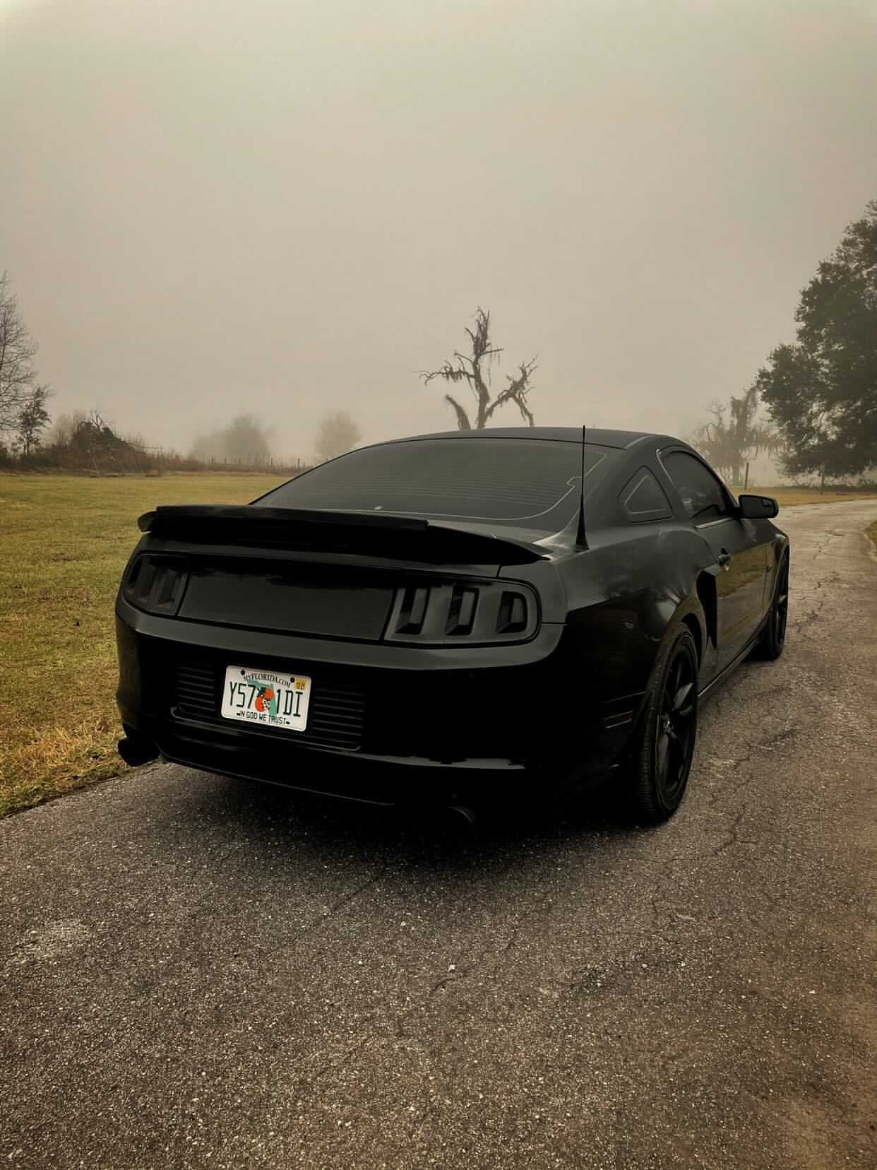 Tail Light Lens Complete Vinyl Tint (2013-2014 Mustang)